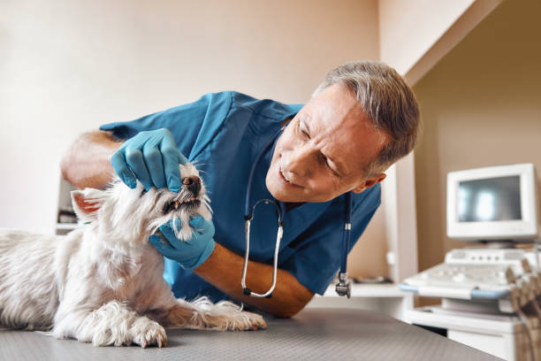 Best Emergency Root Canal Treatment in New Cordell, OK